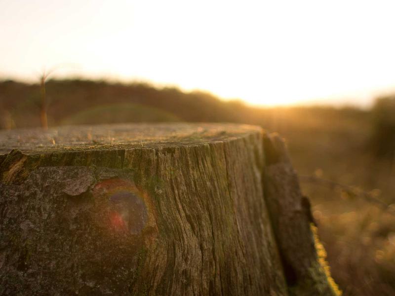 sudoku number placement